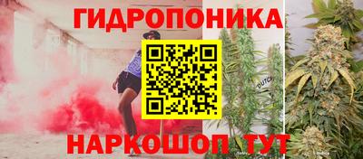 крисы Усть-Илимск