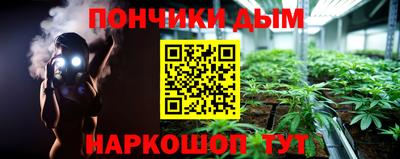 крисы Усть-Илимск