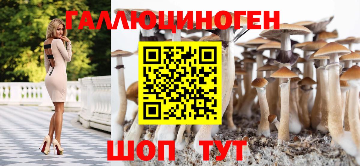 Псилоцибиновые грибы ЛСД Нарткала