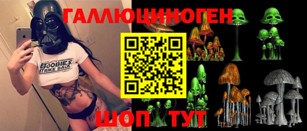 Нарткала  Галлюциногенные грибы Cubensis  Вход с VPN  купить  цена  Галлюциногенные грибы прущие грибы 